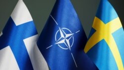 Американские вопросы. Натовский блеф Кремля?