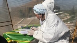 Коронавирусқа байланысты карантин кезінде кезекшілікте отырған медицина қызметкері. 2020 жылдың сәуірі. Көрнекі сурет.
