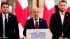 ნიკა ელისაშვილი, ილია ინჯია და ვარლამ ლიპარტელიანი ოპოზიციის სტატუსით გააგრძელებენ მუშაობას.