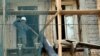  Когда несколько лет назад на стенах дома появились огромные трещины, жители впервые обратились к городским властям с просьбой помочь с ремонтом. Однако укрепительные работы начались лишь после того, как часть несущей стены рухнула