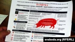 Памятка: афрыканская чума сьвіней, прычыны і наступствы.