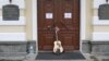 Image result for падабед