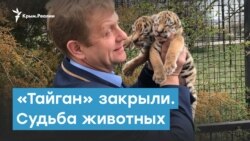 «Тайган» закрыли. Что будет с животными? | Крымский вечер
