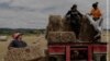 Belarus — Winner of WPP, Long-Term Projects
Te Urewera – The Living Ancestor of Tūhoe People