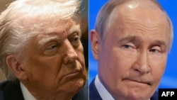 Доналд Трамп и Владимир Путин