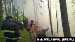 200 гектаров выгоревшего леса – печальный и, возможно, еще не конечный итог пожаров в Грузии