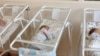 Опасения врачей не слышит ни руководство роддома, ни исполнительная власть