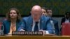 United States -- Vassiliy Nebenzya, permanent representative to the United Nations of the Russian Federation, addressing the UN Security Council, New York, May 6, 2025